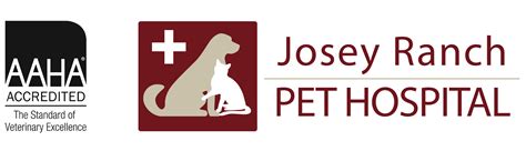 Josey ranch pet hospital - A new dog is a new adventure, but dealing with a young puppy will take a little guidance and care, especially if it's your first time! Does any of the information in this article come as a surprise...